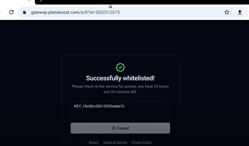 copy delta executor key